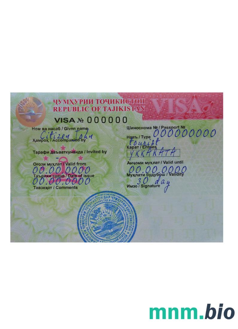 Tadżykistan travel visa version 2